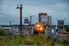 SMM_4874