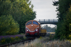 SMM_4912