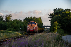 SMM_4917