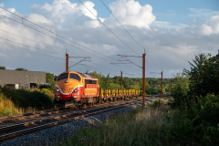SMM_4942