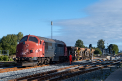 SMM_9173