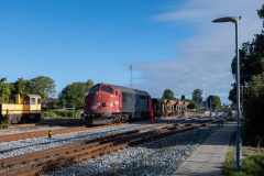 SMM_9174