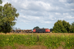 SMM_9269