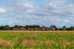 SMM_9279