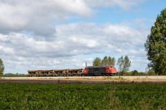 SMM_9295