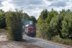 SMM_9437