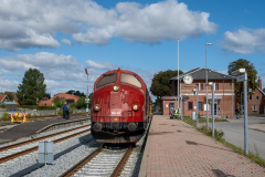 SMM_9535