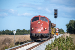 SMM_9594