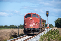 SMM_9597