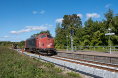 SMM_9683