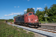 SMM_9687