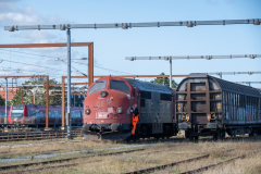 SMM_9731