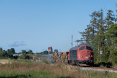 SMM_9758