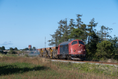 SMM_9762