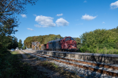 SMM_9768
