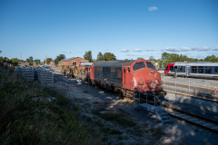 SMM_9817