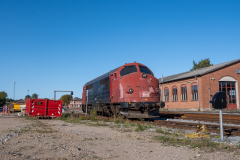 SMM_9878
