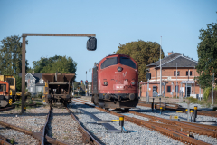 SMM_9882