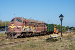 SMM_5952