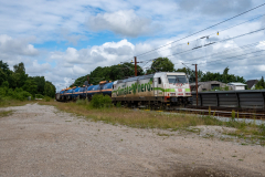 SMM_4772