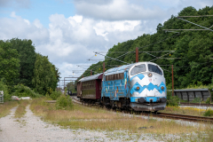 SMM_4778