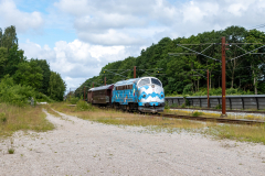 SMM_4779