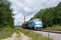 SMM_4793
