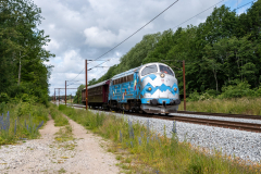 SMM_4794