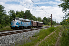 SMM_4823