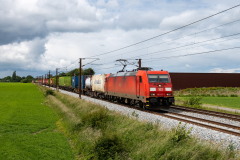 SMM_4873