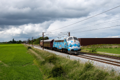 SMM_4884