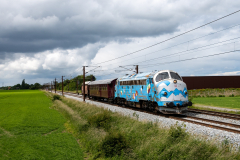 SMM_4885