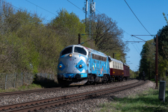 SMM_0876