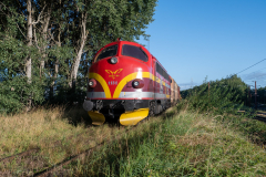 SMM_3233