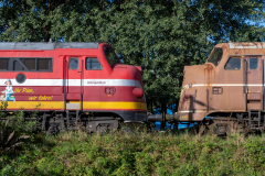 SMM_3241