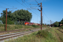 SMM_3246
