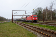 SMM_4949