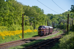 SMM_7207