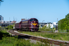 SMM_7307