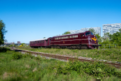 SMM_7318