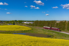SMM_7327
