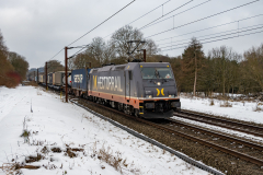 SMM_9236