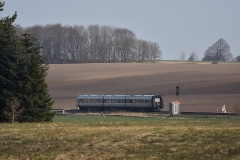 DSC_6204