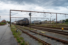 SMM_4963