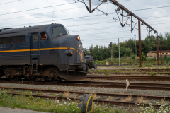SMM_4964