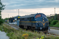 SMM_4969