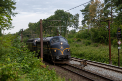 SMM_5005