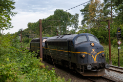 SMM_5007