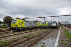 SMM_4005