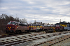 DSC_7968